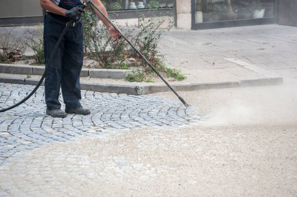 Best Sidewalk and Walkway Cleaning  in Alderwood Manor, WA